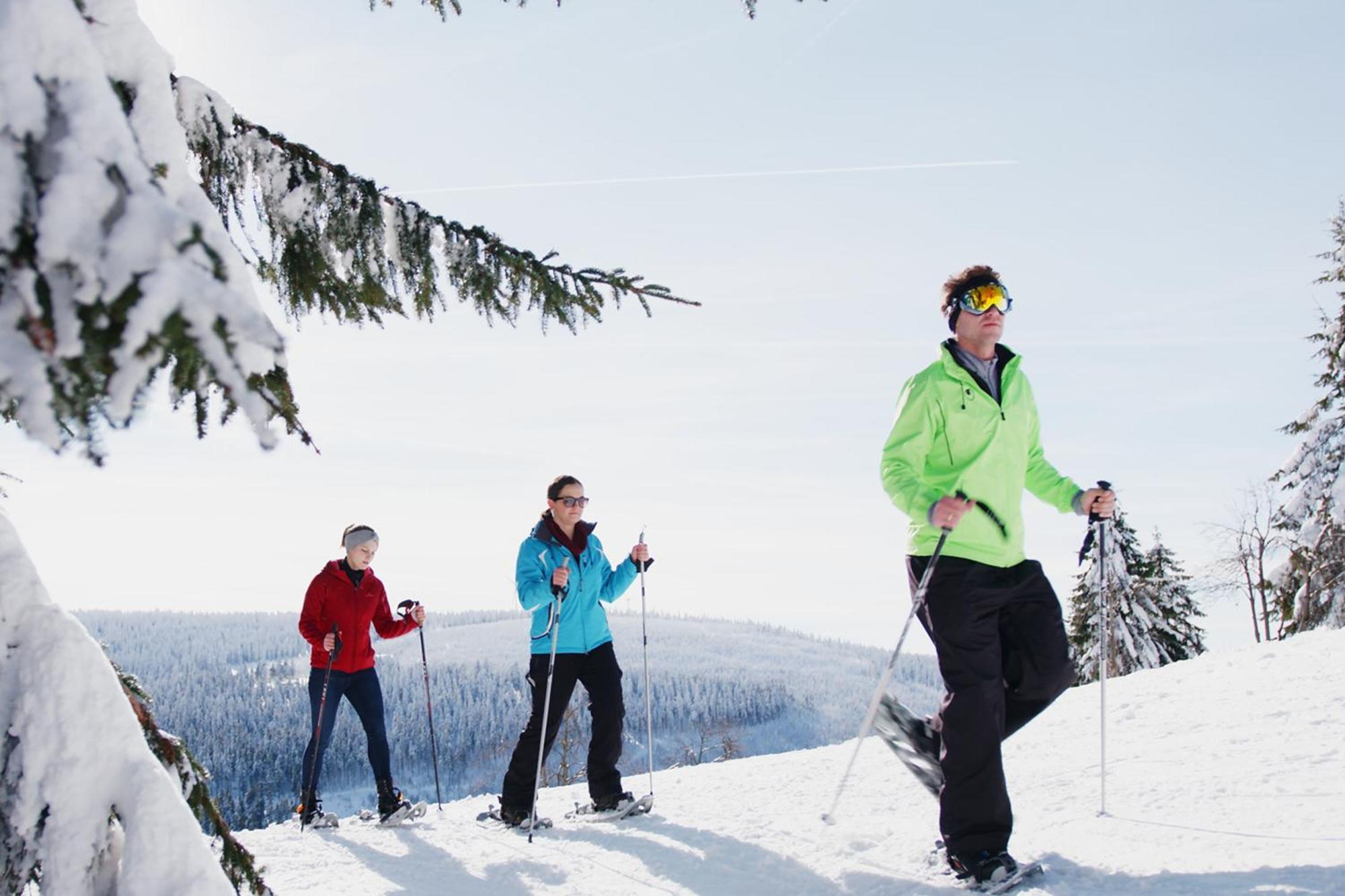 Ahorn Hotel Am Fichtelberg Oberwiesenthal Luaran gambar